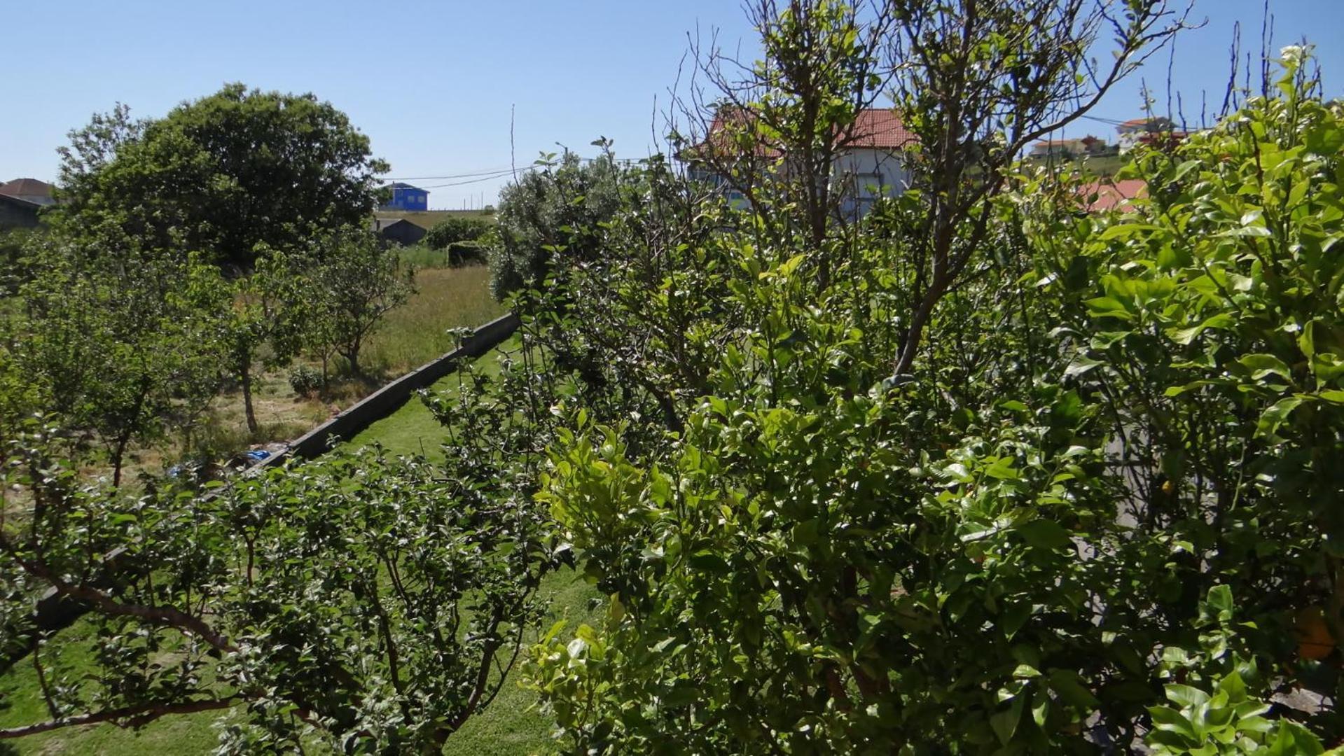 Villa Casa De Lolo En Larino Carnota Exterior foto